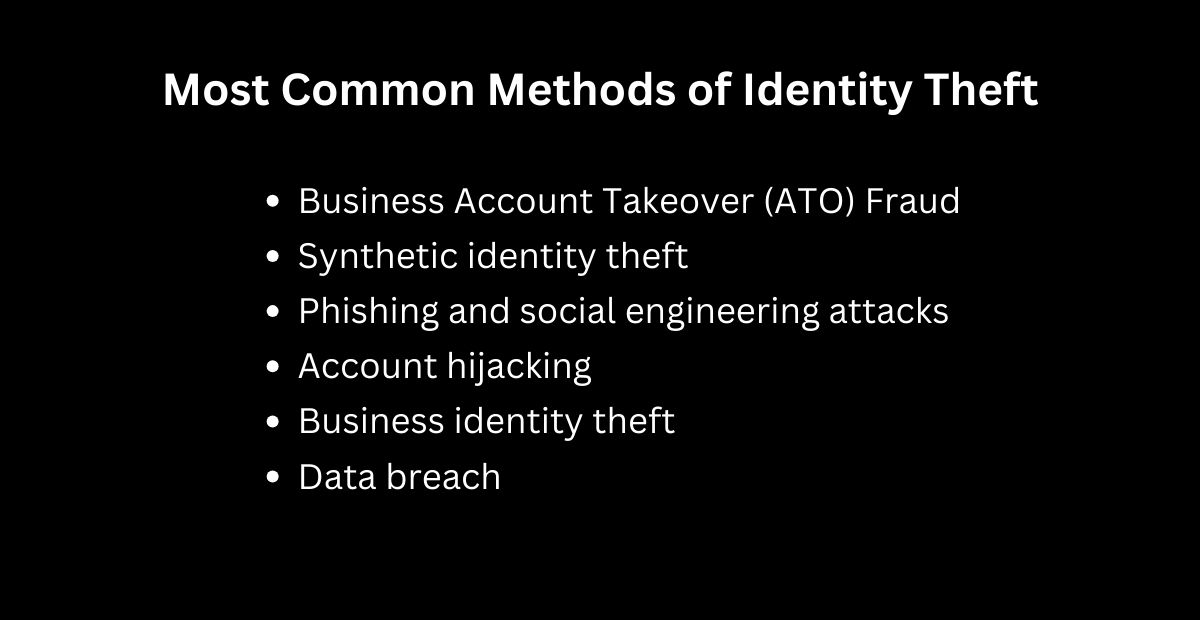 an infographic showing common types of financial identity fraud including Business Account Takeover, Phishing and social engineering, data breach 